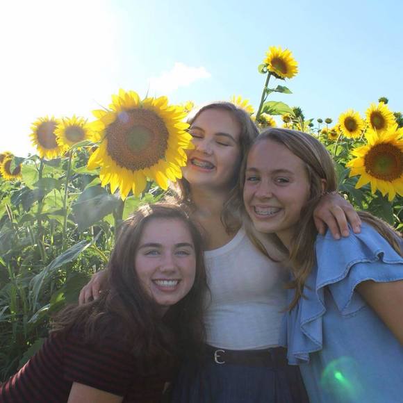 Meet your Posher, Quinn - Picture 1 of 1