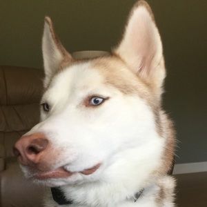 Meet your Posher, Stephannie