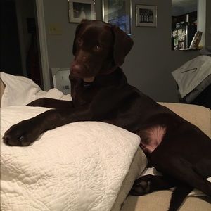 Meet your Posher, Sarah