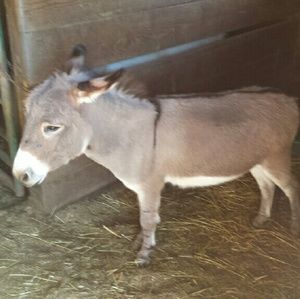 Meet your Posher, Cheri