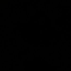 Meet your Posher, Safi