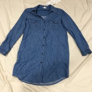 Jose Denim Dress