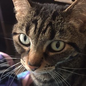 Meet your Posher, Olga