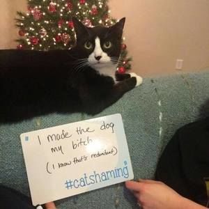 Meet your Posher, Stacie