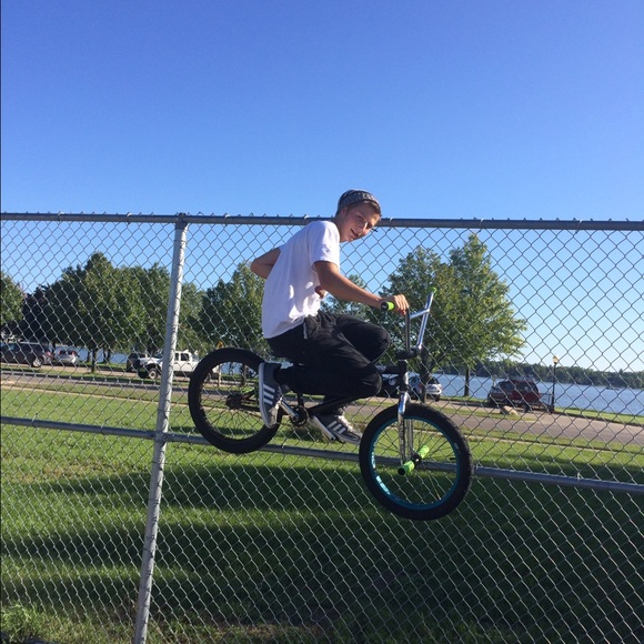 Meet your Posher, Logan - Picture 1 of 1