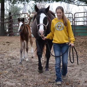 Meet your Posher, Alyssa