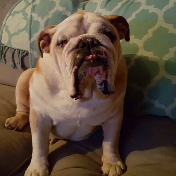 Meet your Posher! - Picture 2 of 4