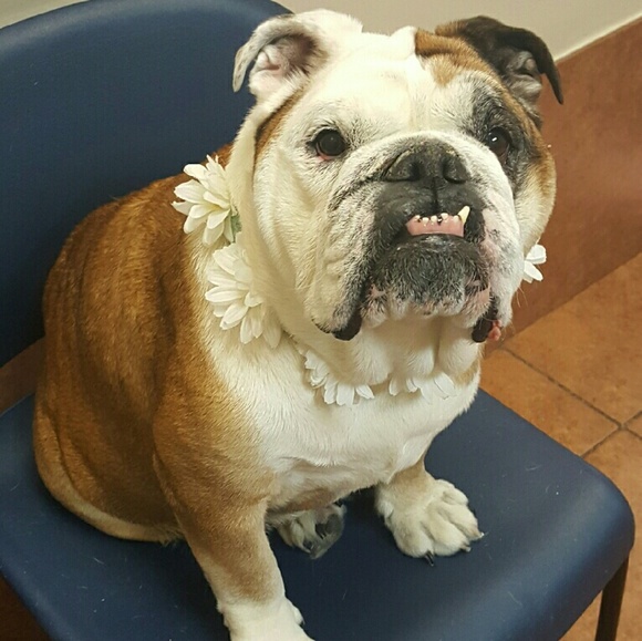 Meet your Posher! - Picture 3 of 4