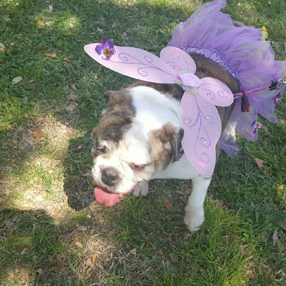 Meet your Posher! - Picture 4 of 4