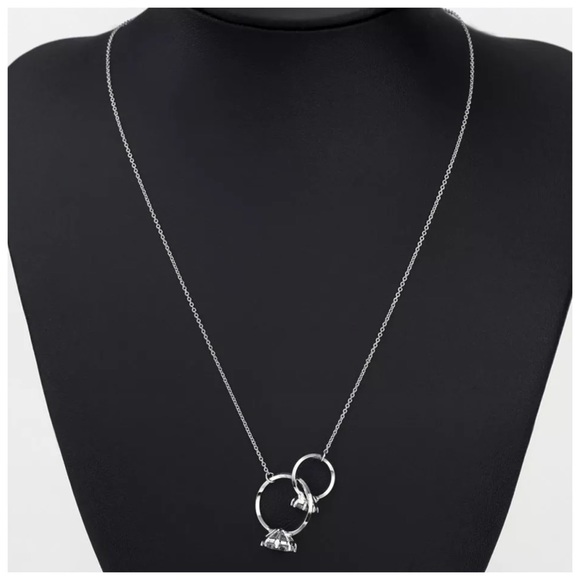 🌺 Swarovski Silver Interlocking Rings Necklace - Picture 3 of 6