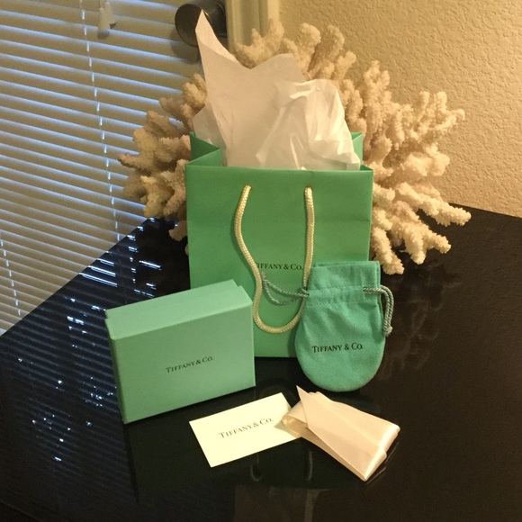 Tiffany & Co. box and bag gift wrapping
