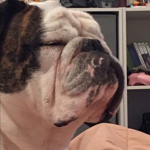 Meet your Posher, Ella