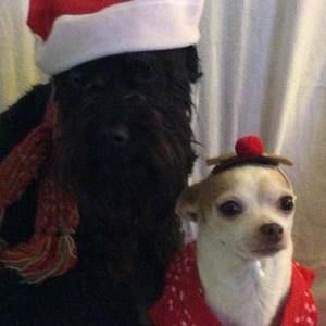 Meet your Posher, Donna