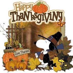 Meet your Posher, Tracey