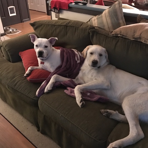 Meet your Posher, Linda