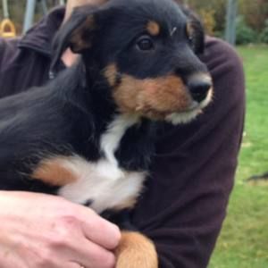 Meet your Posher, Claire