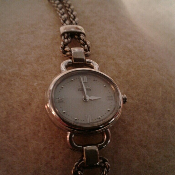 EUC Citizen bracelet watch