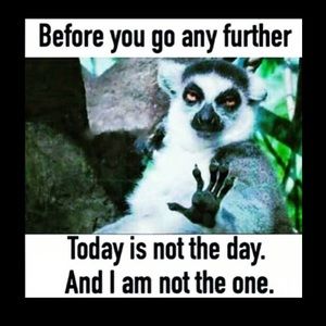 Meet your Posher, Cathy