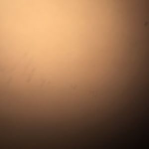 Meet your Posher, Mike