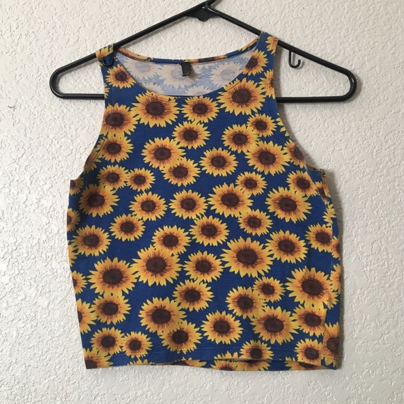 Sunflower crop - Picture 1 of 1