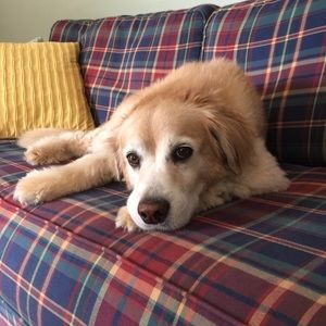 Meet your Posher, Sue