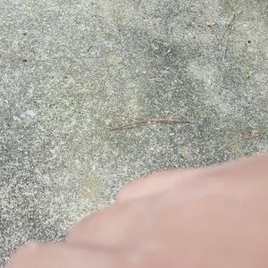 Meet your Posher, Samuel