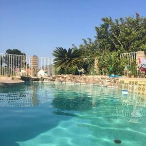 Meet your Posher, Peter