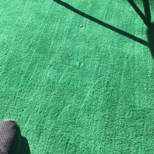 Meet your Posher, Lorraine