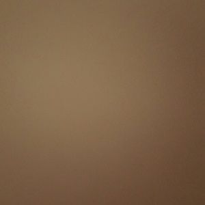 Meet your Posher, Evan