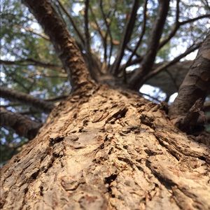 Meet your Posher, Allie