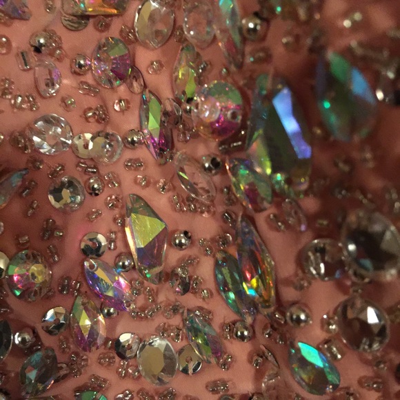 Blush Colored Backless Long Evening Gown - Picture 4 of 4