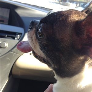 Meet your Posher, Takuya