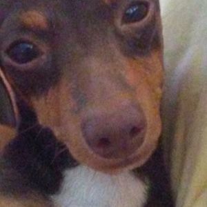 Meet your Posher, Kellie