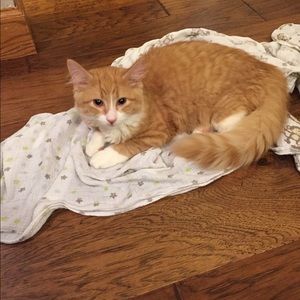 Meet your Posher, Kara