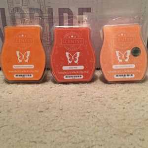 Fall scents- Scentsy