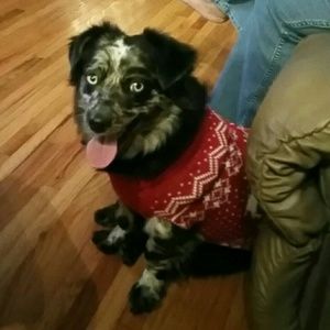 Meet your Posher, Leann