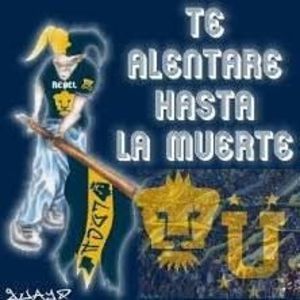 Meet your Posher, Eduardo