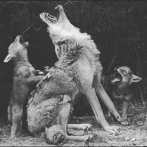 Meet your Posher, Gerry