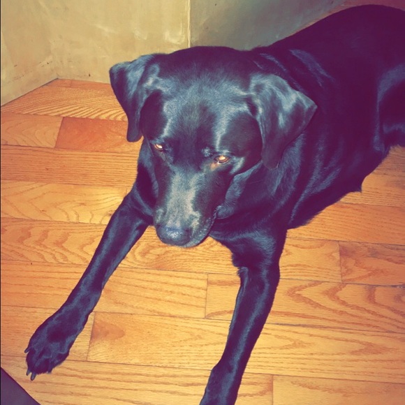 Meet your Posher, Brett