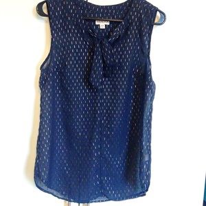 Sheer Navy & Gold Sleeveless Blouse with bow neck