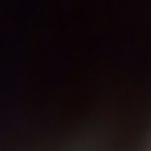 Meet your Posher, Norman