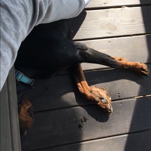 Meet your Posher, Kendall