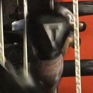 Meet your Posher, Javier