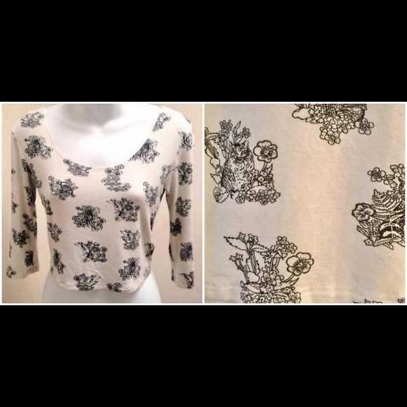 ‼️Sale‼️Pins&Needles Ivory Cropped Top - Picture 1 of 4
