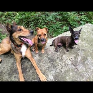 Meet your Posher, Chelsey