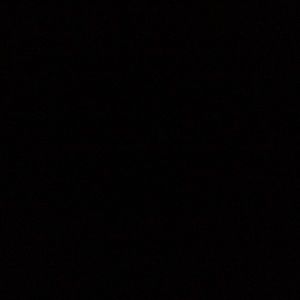 Meet your Posher, Bree