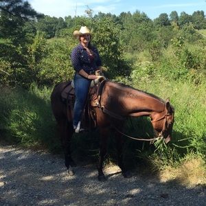 Meet your Posher, Harley