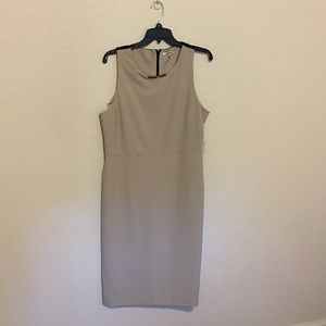 DKNYC shift dress. New from Lord & Taylor.