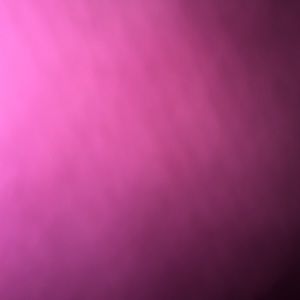 Meet your Posher, Maddie