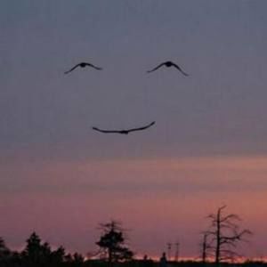 Meet your Posher, Jane